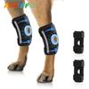 Adjustable Dog Knee Pads for Post-Surgery Recovery - Anti-Licking and Anti-Biting Support
