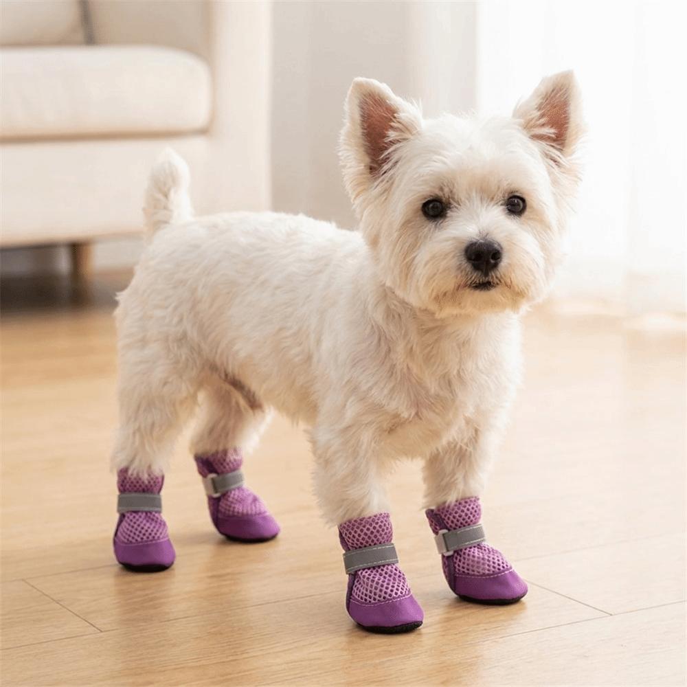4PCS/SET Wear-Resistant Pet Mesh Shoes Breathable Pet Footwear Comfortable Dog Sneakers  Outdoor Use