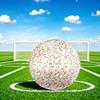 1pc Easter Bunny Carrots Size 5 Soccer Ball Professional Match Training Football Indoor &Outdoor Sports Ball Lightweight Durable m6537