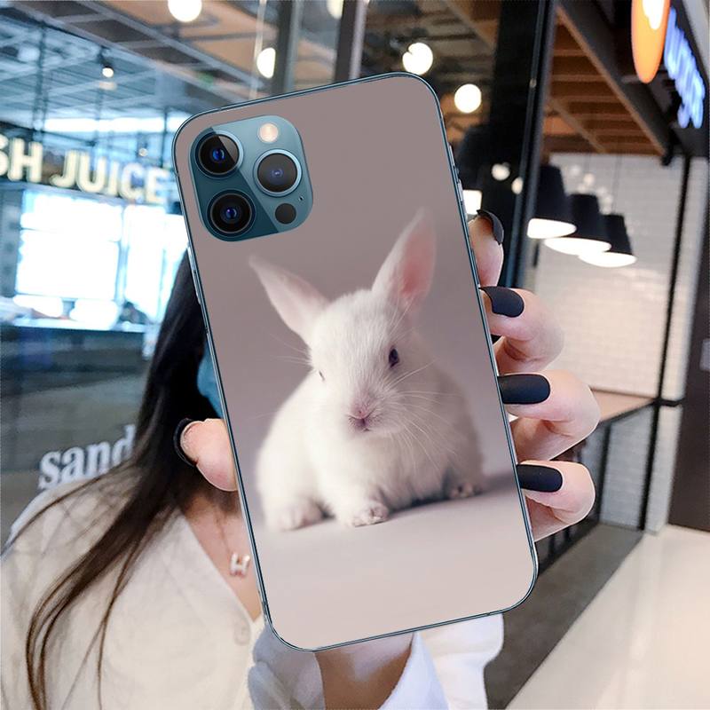 Милый чехол для телефона с кроликом для iPhone 11 12 13 Pro Max 5s 6s 7 8 Plus X Xr Xs Max Se 2020 13 Mini Чехол-накладка
