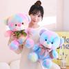 Cute Rendered Teddy Bear Doll Plush Toy Bear Hug Bear Doll Rag Doll For Girlfriend Birthday Gift