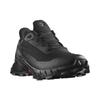 Кроссовки Alphacross 5 Salomon GORE-TEX 'Black Ebony' L47307500