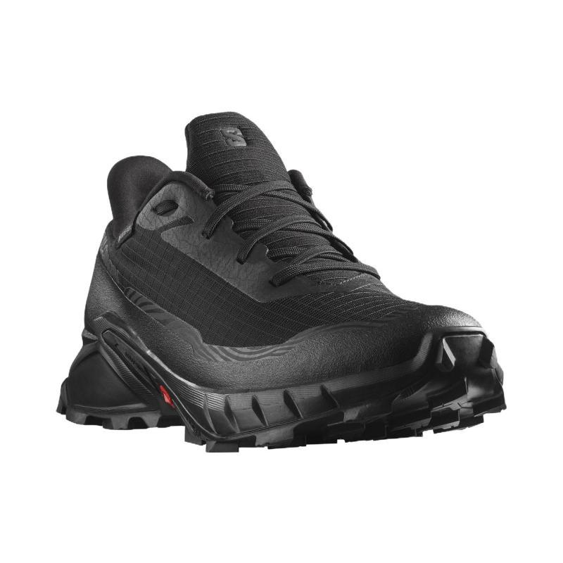 Кроссовки Alphacross 5 Salomon GORE-TEX 'Black Ebony' L47307500