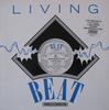 12-дюймовая пластинка AMBASSADORS OF FUNK - My Minds Made Up SMASH1 Living Beat Rec 1988 UK Dance & Electronica Б/У