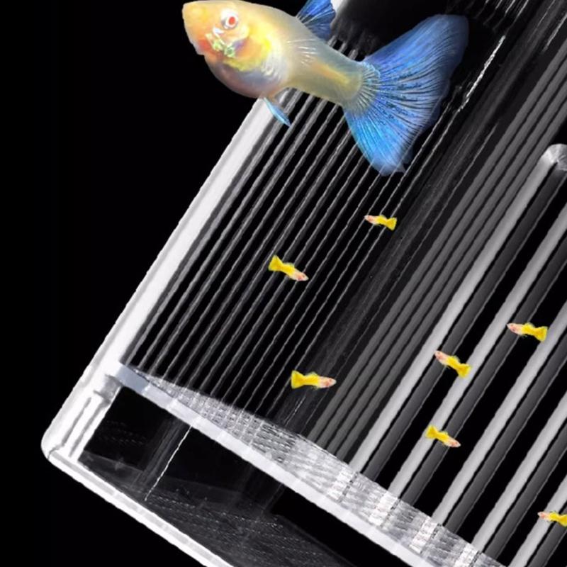 Нерестовики для мальков аквариумных рыб Изоляционный бокс Инкубатор для мальков Прозрачный нерестовик