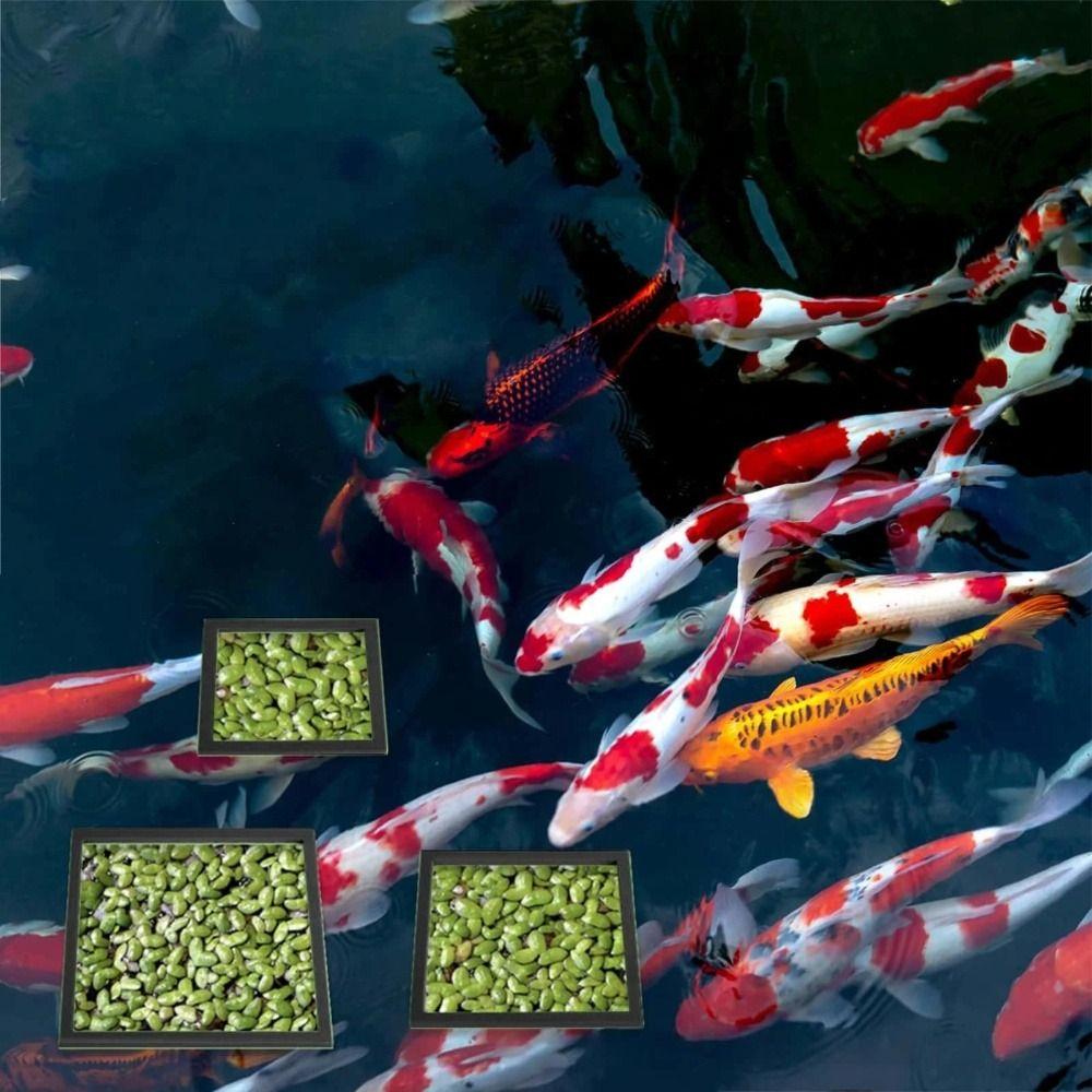 3Pcs/set Black Color Aquarium Floating Ring for Aquarium Duckweed Interception
