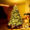 LED fairy lights with battery box, copper wire string, 2/5/10 meters, for holiday outdoor lighting, Christmas tree, wedding, and party decorations