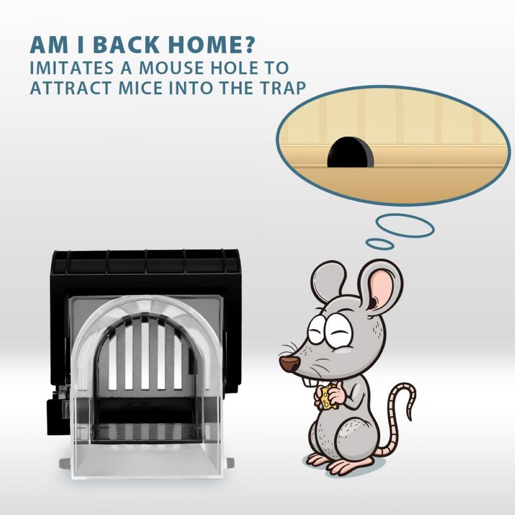 Клетка для крыс, мышей, борьба с грызунами, приманка для ловли хомяка, мышеловка, гуманная живая мышеловка