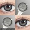 Eyeshare 2pcs Colored Contact Lenses for Eyes Blue Contact Black Eye Lens Gray Beautiful Pupils Yearly Brown Eyes Makeup Lenses