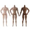 31cm Height 1/6 Male Body White Normal Tan Action Figure Body Male Model For Children