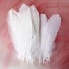 White Feathers Goose Hair ,Hard Floating Dream Net Decorative Wings ,Sun Flower Wall Decoration Kindergarten Handmade Art Class Materials