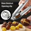 Stainless Steel Chestnut Opener Nuts Peeler Shelling Walnut Cracker Sheller Portable Chestnut Nut Cutter Cracker for Nuts Gadget