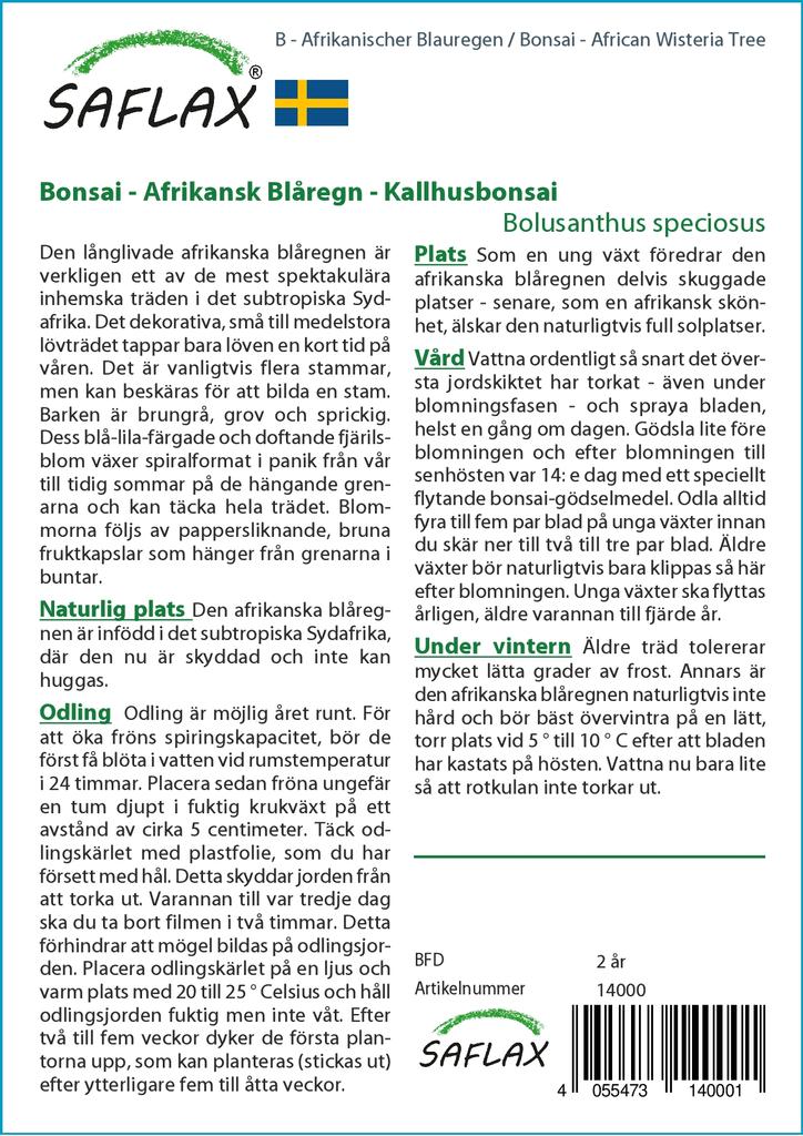 SAFLAX Бонсай - Дерево глицинии африканской - 15 семян - С горшечным субстратом для лучшего выращивания - Bolusanthus speciosus