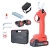 2 X 21V Electric Pruning Shears Professional Cordless Pruner with Sharp Blade Branch Shears with 2 Rechargeable Batteries 25mm Cutting Diameter