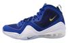 Air Penny 5 Blue Chips 537331-402