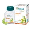 Wellness Pure Herbs Amalaki Immunity Wellness 60 Tablets Boost Natural Defense System Skin Health