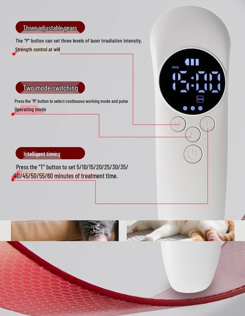 Portable Handheld Infrared Laser Therapy Device - 650nm & 808nm Red Light Therapy