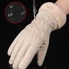 Woman Winter Warmer Cute Panda Plush Velvet Touch Screen Gloves Girls Outdoor Skiing Riding Mittens