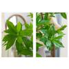 Silicone Leaves Artificial Green Plant Green Plant Bionic Plant Fake Plant  Hotel Decoration