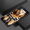 Чехол для телефона с забавным котом и собакой для Apple iPhone 13 12 Mini 11 Pro XS Max X XR 8 7 6S 6 Plus SE 2020 5S 5, мягкий черный чехол из ТПУ