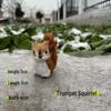Креативная детская игрушка-модель белки - Украшение для окна и когнитивный сценический орнамент