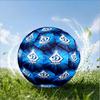 Dynamo Moscow Football Club Size 5 Soccer Ball,Indoor/Outdoor Suitable for Training Matches Tournaments Practice Games Perfect Gift for Fan