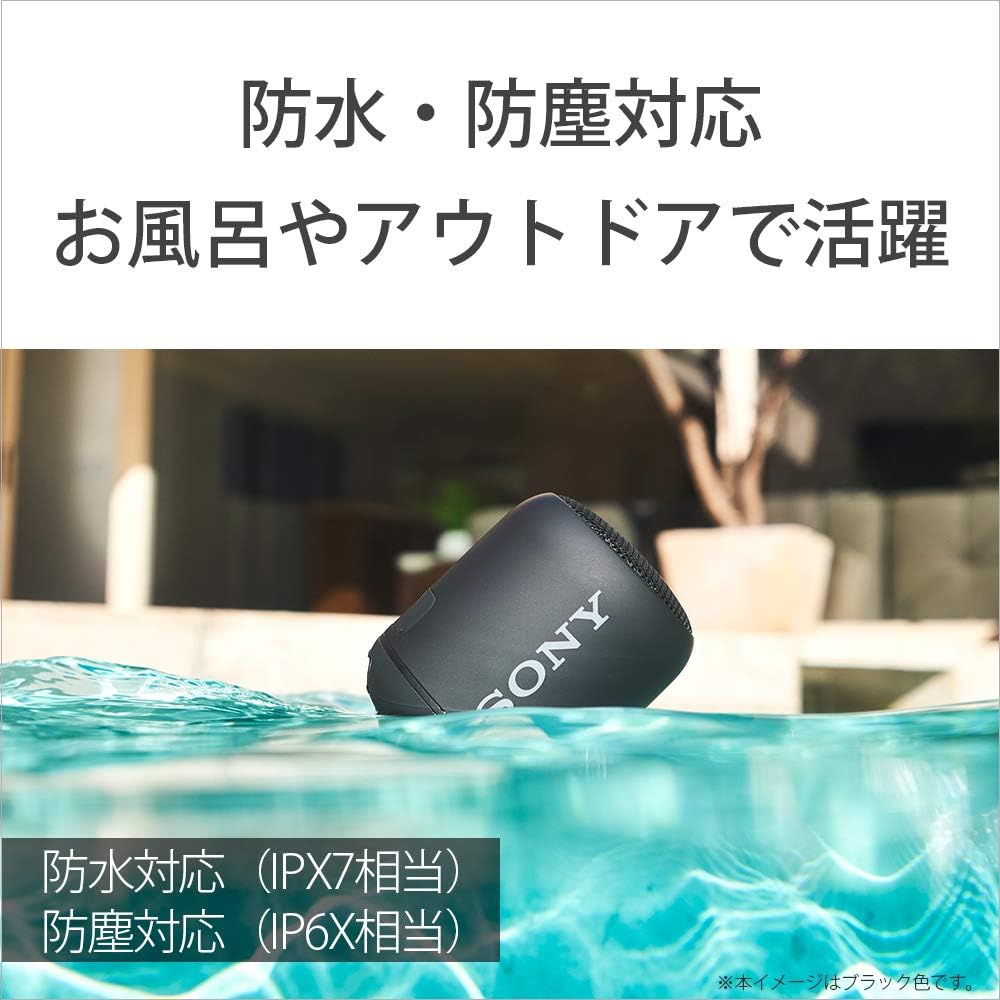 Sony Wireless Portable Speaker: Waterproof / Dustproof / Bluetooth Compatible / Deep Bass Model / Built-in Microphone / Lightweight and Compact 2019 M