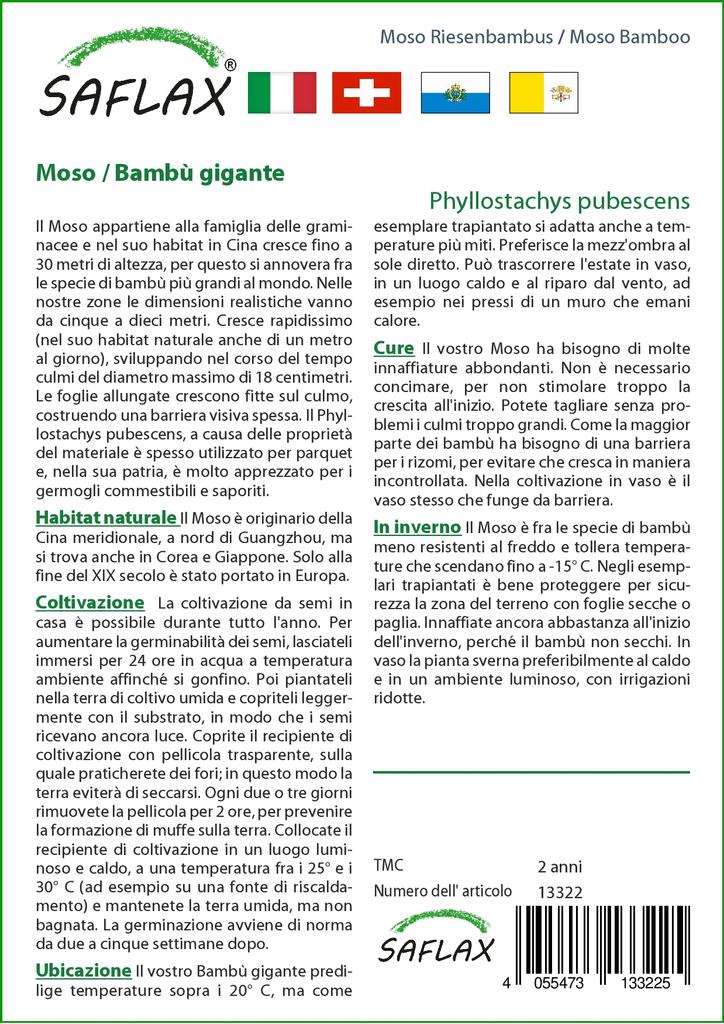 SAFLAX Мосо Бамбук - 20 семян - Phyllostachys pubescens