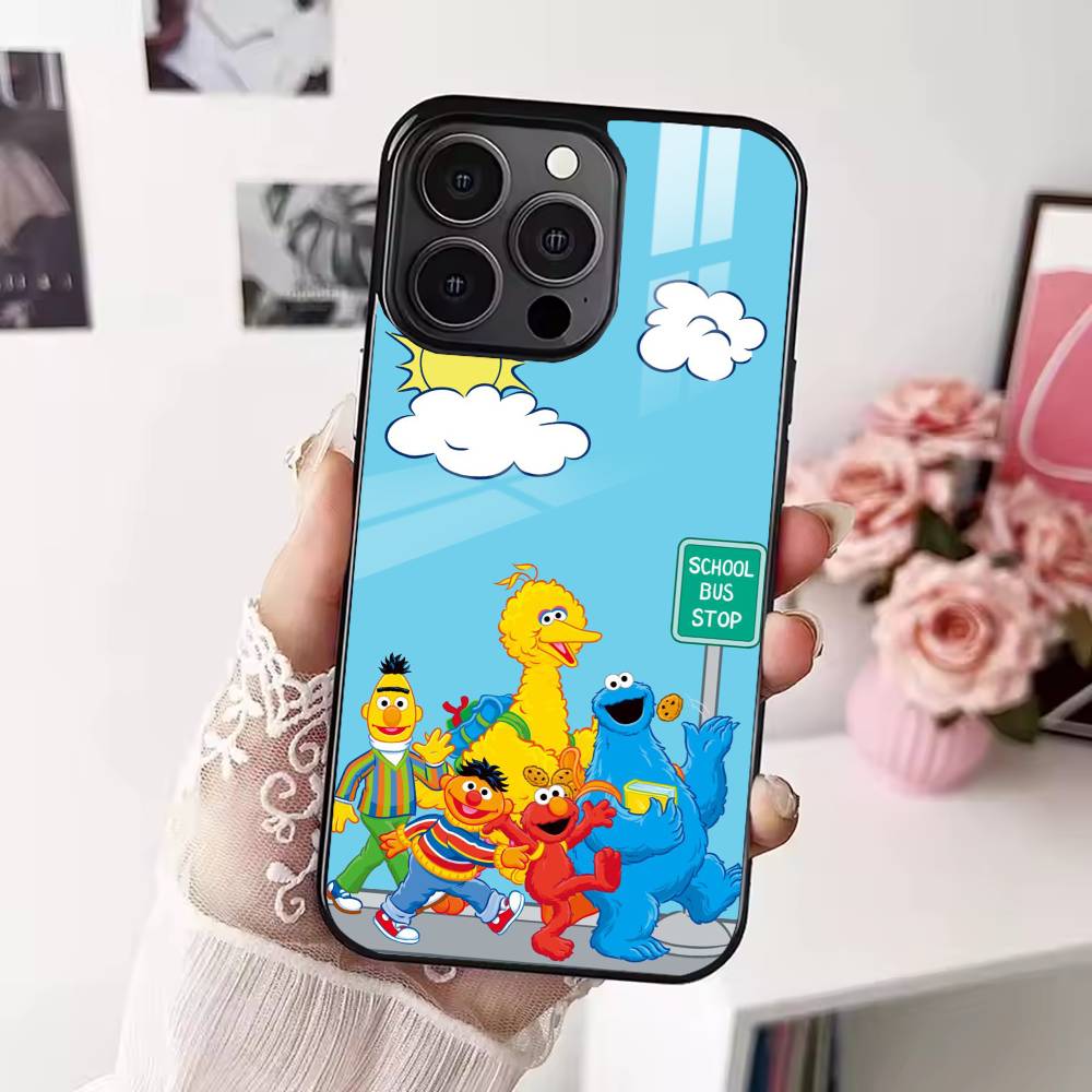 S-Sesame Cartoon S-StreetS Phone Case For iPhone 17,16,15,14,13,12,Plus,Pro,Max for Magsafe Magnetic Wireless Charging