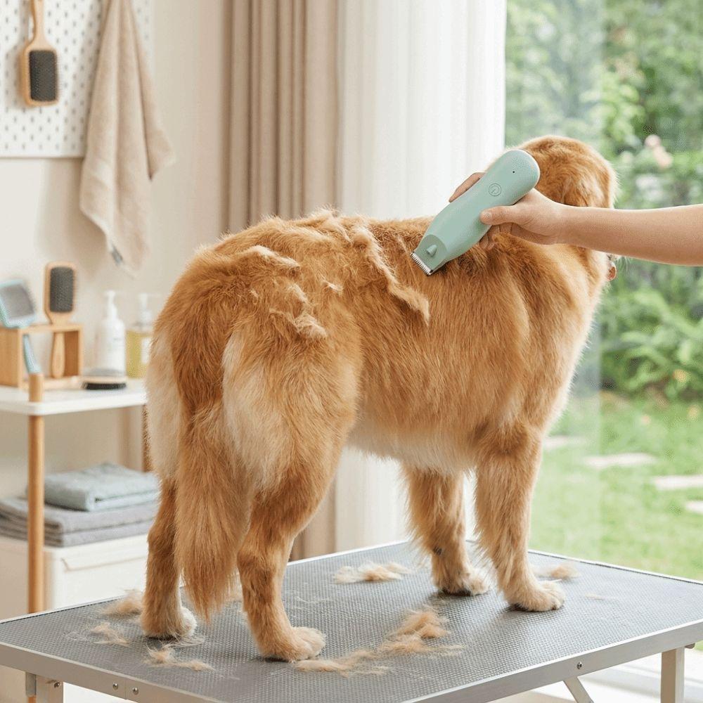 Cordless Electrical Dog Hair Trimmer Low Noise Cat Shaver Pet Hair Clipper Pet Salon