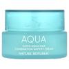 Nature Republic Super Aqua Max, Combination Watery Cream, 2.7 Fl Oz (80 Ml)