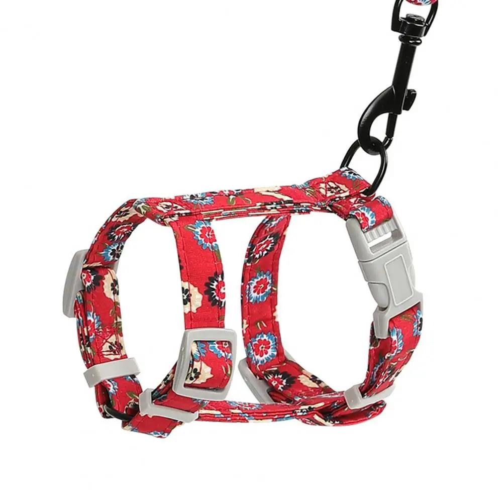 1 Set Excellent Firm Stitching Cat Leash Chest Harness Long Strap Pet Traction Rope Back Strap Buckle Pet Dog Cat Accessories
