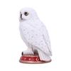 Figurine Hibou Familier du Sorcier - Nemesis Now - 10cm - Rouge - Blanc - Décoration Intérieure