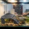Sturdy Reptile Hiding Cave Decor Scenery Resin Cave Decor  Fish Tank Landscaping