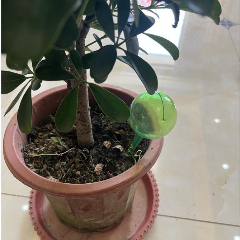 Automatic Flower Watering Globe – Ideal for Travel and Home Use. Contact Customer Service for Color Options.