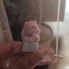 3D механические клавиатуры Креативные мультяшные головы кошек Игровые клавиатуры Колпачки для клавиш для офисного снятия стресса