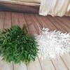 Silk Willow Leaf Fake Green Grass New Vine Plants  Vase