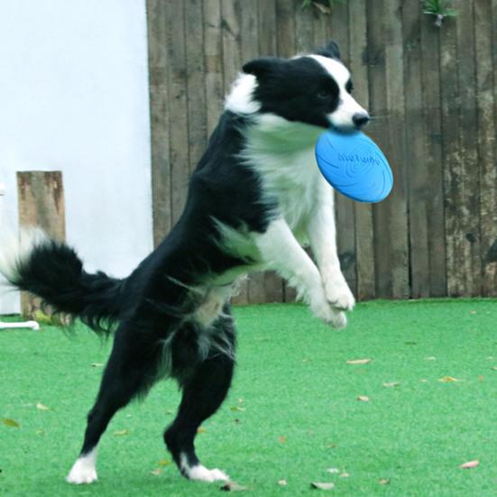 Yousheng Dog Flying Disc Tear Resistant Good Toughness Interactive Exquisite Delicate Sports Tool TPR Funny Flying Saucer Dog Toy for Puppy