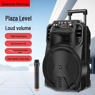 Портативная тележка Bluetooth-колонка Newmine N509 Штепсель CN (адаптер в комплекте)