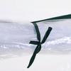 Greenhouse, Hothouse with Door, Cold Frame, Plant House, Plant Cultivation, Steel, Plastic, 250 x 100 x 80 cm, Green