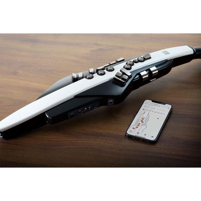 Цифровой духовой инструмент Roland AEROPHONE AE-20, набор из 5 предметов со шнурком