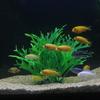 Simulation Artificial Aquatic Plants Mini Water Weeds Ornament Underwater Aquatic Plants  Home