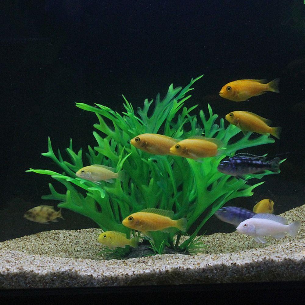 Simulation Artificial Aquatic Plants Mini Water Weeds Ornament Underwater Aquatic Plants Home