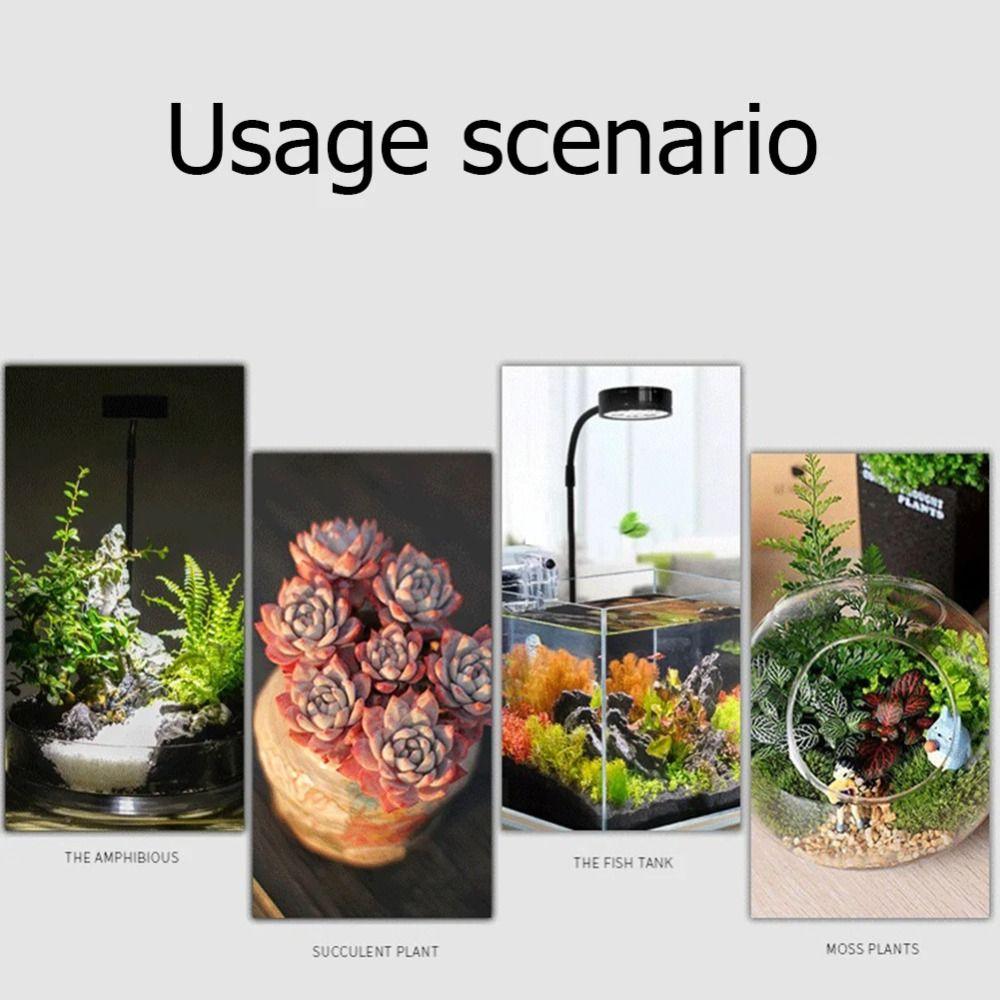 10W LED Aquarium Light USB Powered Indoor LED Growing Light  House Flower Hydropon