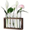 3/5 Test Test Tube Vases Transparent Glass Glass Planter Hydroponic Plants Container  Weddings