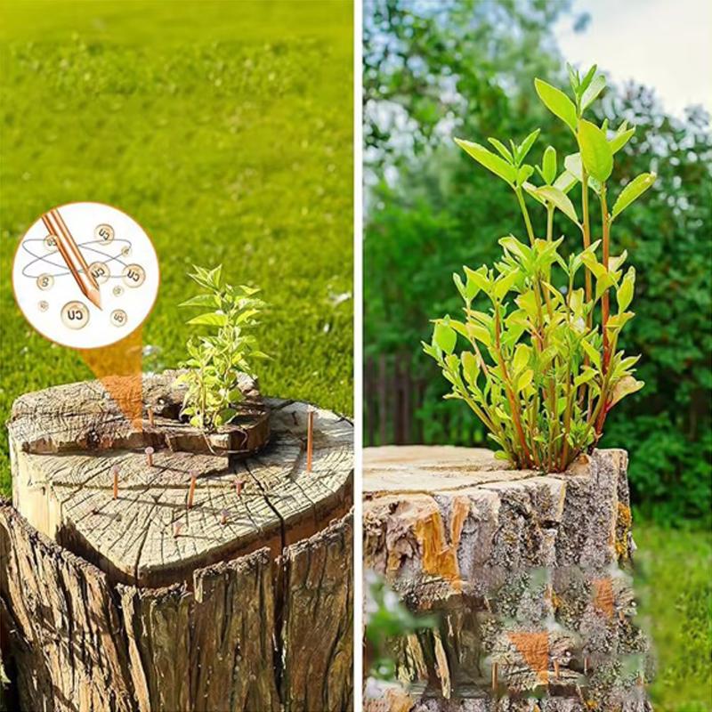 200шт фоторамка подвесной гвоздь набор золотых ногтей