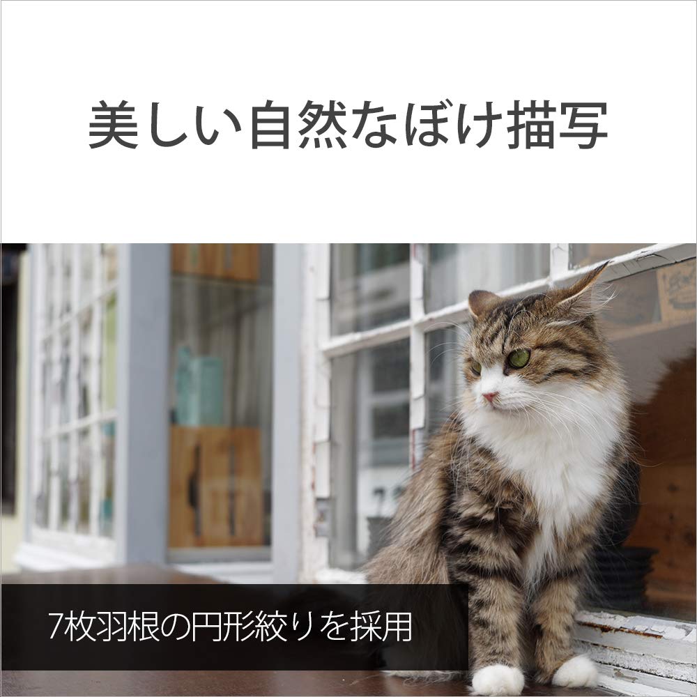 Sony Стандартный полноразмерный зум-объектив FE оригинальный объектив для цифровой камеры SEL2860 28-60 мм F4-5.6 однообъективный [крепление E]