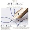 Sailor Fountain Pen, Four Seasons Weave, Otogiba, Princess Kaguya, Medium, Medium, 11-1227-303