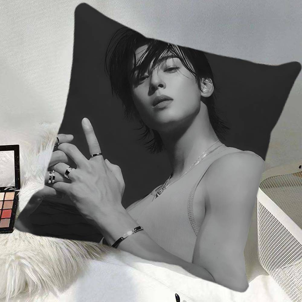 Korea Sexy Photos Cha Eun Woo Pillow Case Square Pillow Bedroom Sofa Leisure Comfort Cushion Car Home Decoration