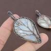 Natural Tree Of Life Rainbow Moonstone Copper Wire Wrap Pendant 2.76" o7L19
